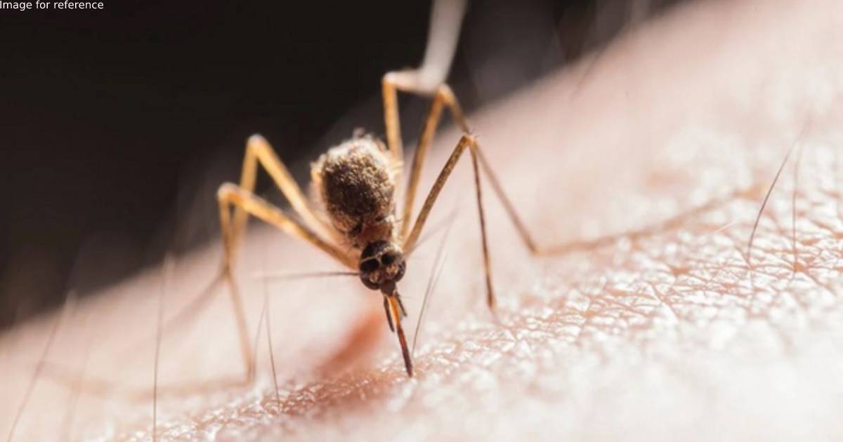 Delhi witnesses huge surge in dengue cases, experts suggest early prevention